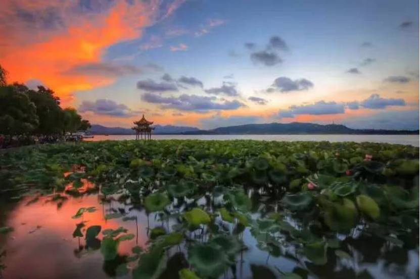 G20�o�㎧����Щ����