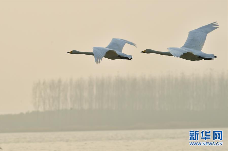 �f�����Z��ƽꑡ������Ї������Z֮�l�����Lӛ