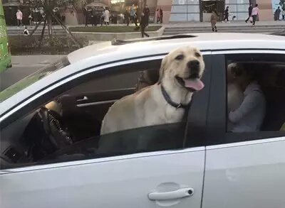 ��܇���_�������ޕ񹷡� ���������ع�7���`������