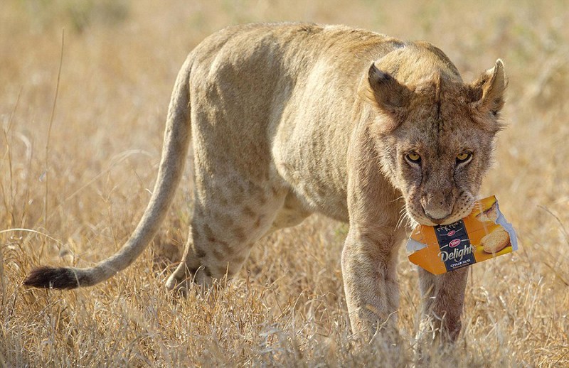 �ת{������������ ����h�����n