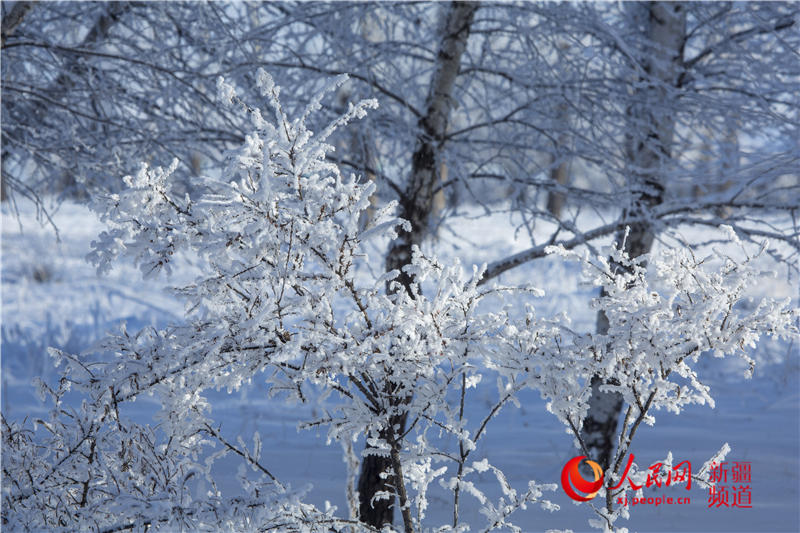 �����r(sh��)��(ji��)���K��ԭӭ��(l��i)�Fڡ���^���D����2��