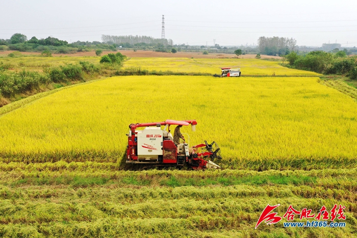 ���Ƚ��S  �w���w�} (1)