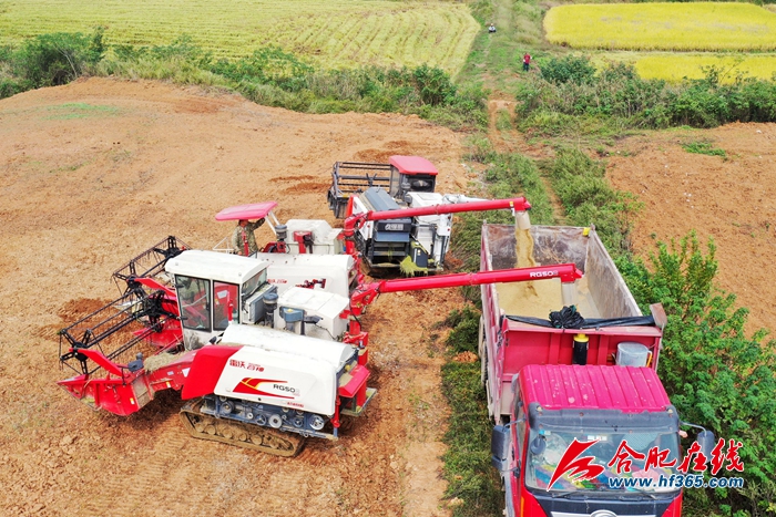 ���Ƚ��S  �w���w�} (7)