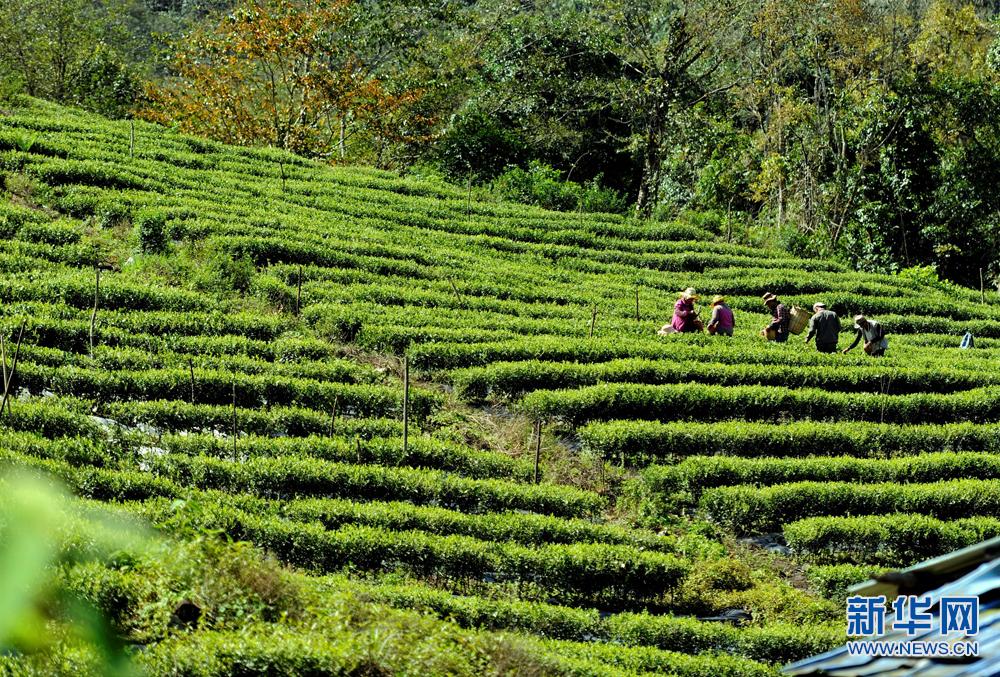 ����īÓ���r���ɲ�æ