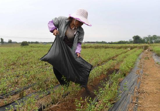 �V���M�hУ���ʯ��������������������ʩ�ʣ�4��12�Քz)���@Щ���������ÿɶѷ��������a�ġ����A��ӛ�� ���A �z